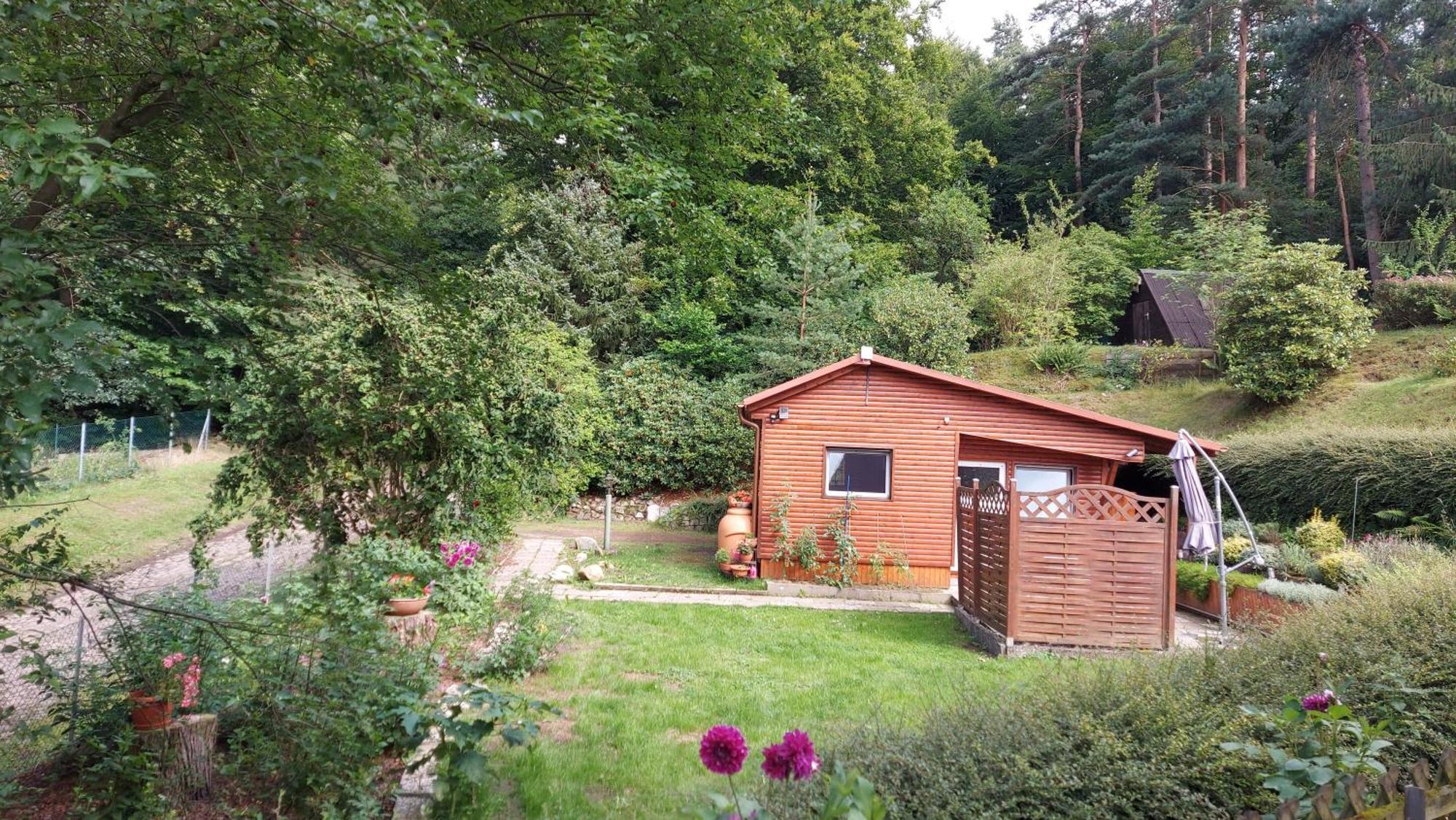Ferienhaus In Geesthacht-Tesperhude Direkt Am Waldrand מראה חיצוני תמונה