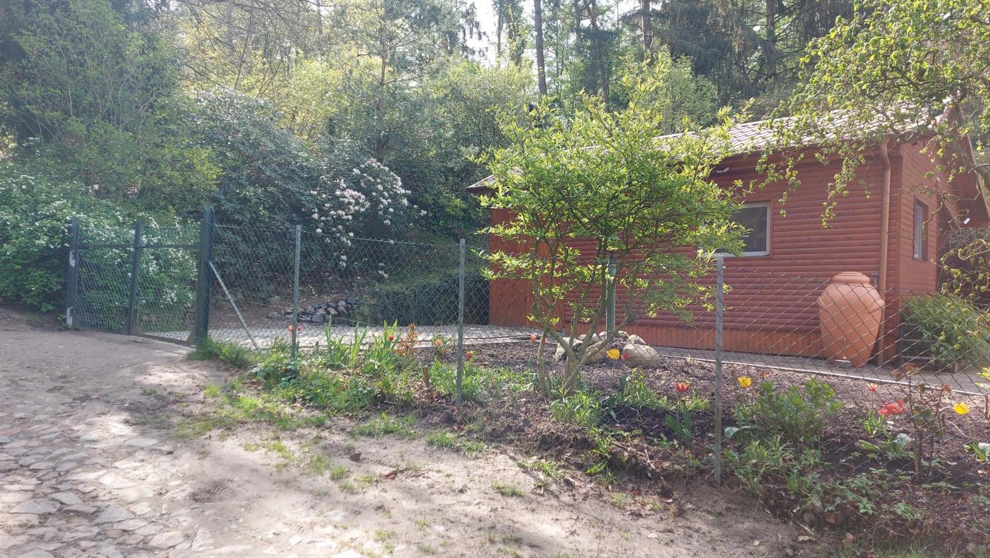 Ferienhaus In Geesthacht-Tesperhude Direkt Am Waldrand מראה חיצוני תמונה