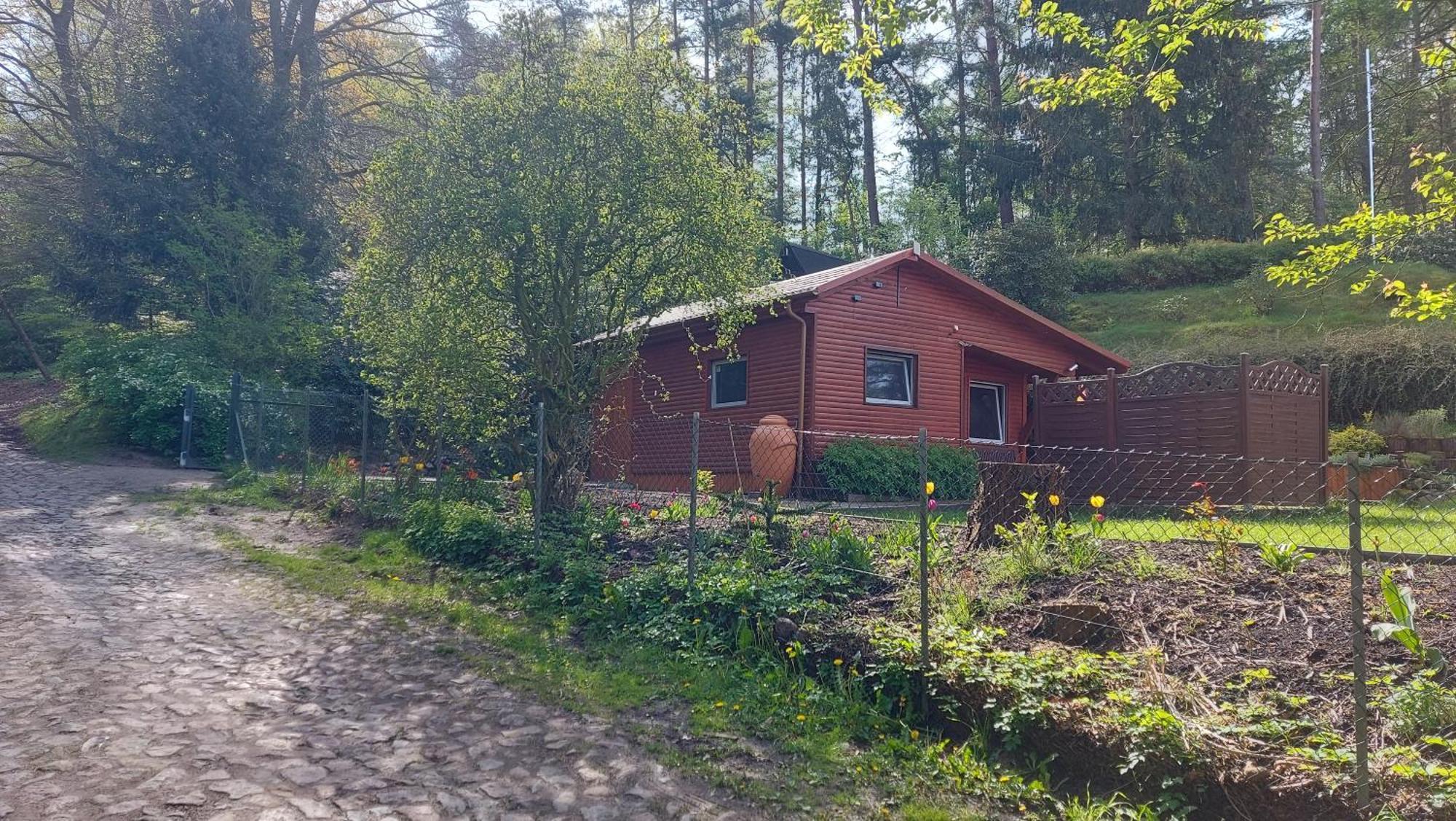 Ferienhaus In Geesthacht-Tesperhude Direkt Am Waldrand מראה חיצוני תמונה